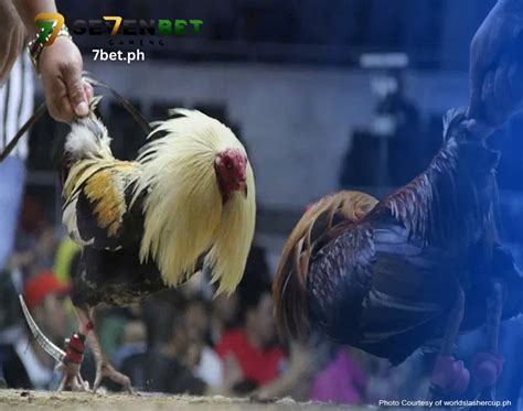 Online na Gabay sa Sabong .